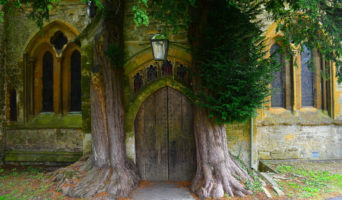 Judging a Book by Its Cover