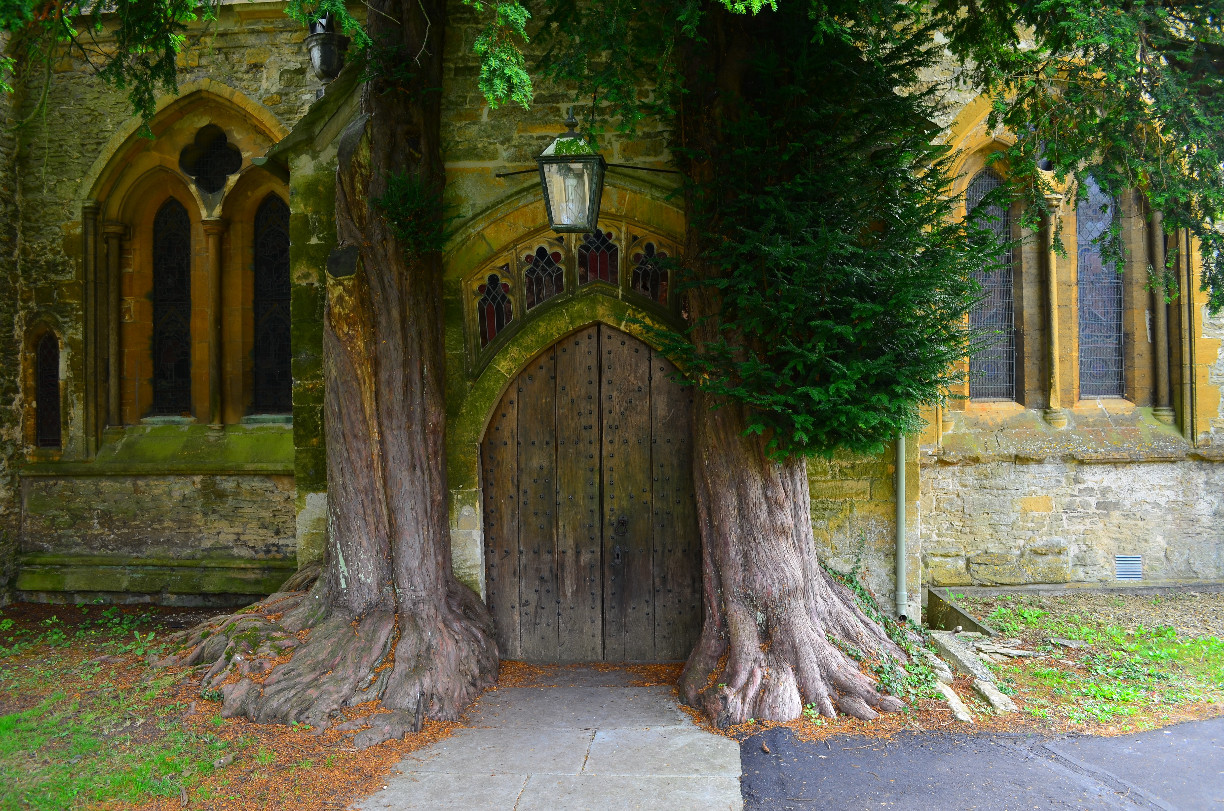 Judging a Book by Its Cover